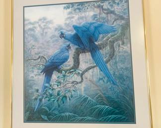 Framed Parrot Art