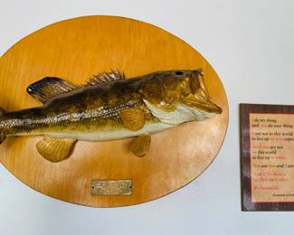 Mounted Fish
