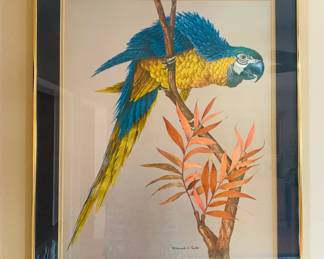 William Smith Parrot Art