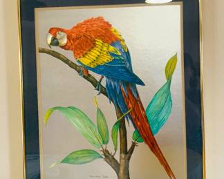 William Smith Parrot Art