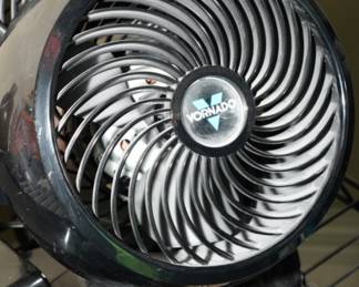 Vornado fan