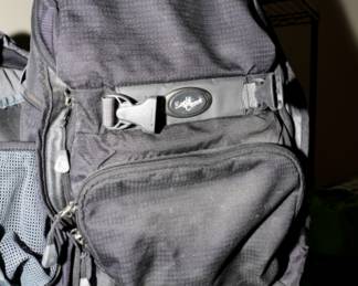 Eagle Creek backpack