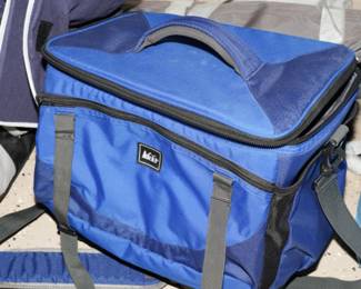 REI lunchbox cooler