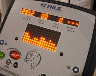 True PS300 elliptical