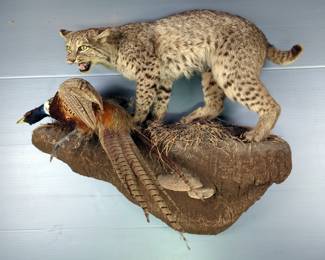 Bobcat And Pheasant Taxidermy Wall Mount, Appears To Be On Dirt Surface, Approx 28" x 35" 