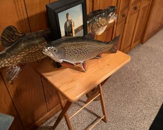 Trout , Pike taxidermy 