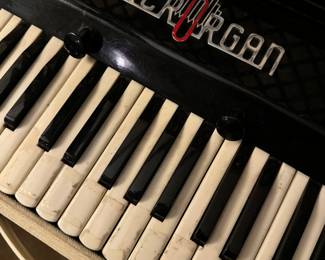 Microgram electric organ