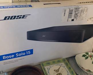 Bose Solo 15