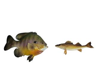 Bluegill and Walleye Mounts