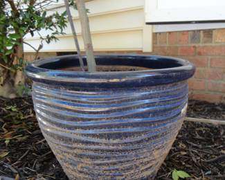 A bit dusty but a beautiful heavy planter