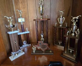 Collection of Trophies
