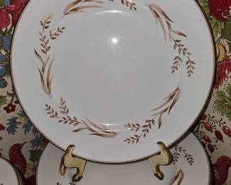 Dinner Plates