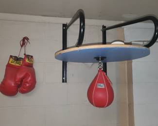 Speed Bag and 3 Sets of Gloves