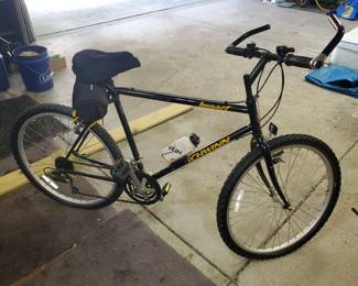 Schwinn Bike