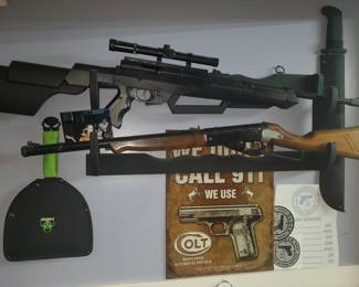 BB Rifle and Air Cartridge GUNS ( SEVERAL Air Rifles and Pistols )
