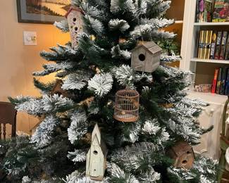 A close look at the tree