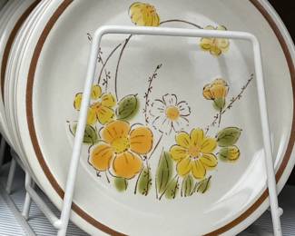 Salad/Dessert plates for the stoneware