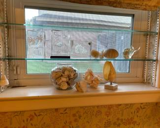 Shells and sea life art