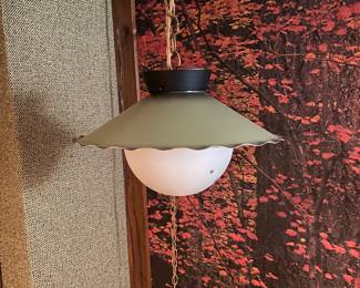 Cute hanging lamp.