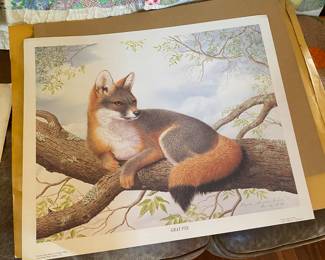 Foxy Lady.