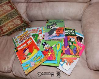 0043Some Highlights Estate Sale Wheaton