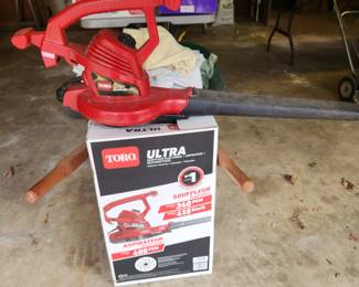 Garage - Toro Ultra blower