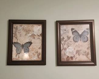 Butterfly pictures