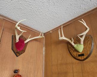 Garage - Deer horns