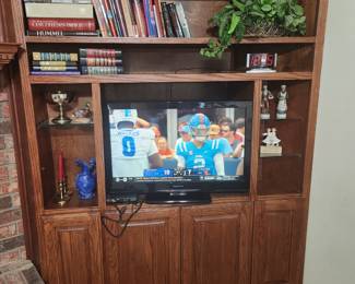 Entertainment center - books - miscellaneous 