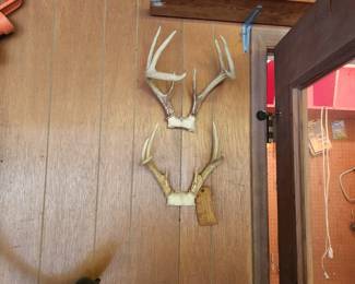 Garage - Deer horns