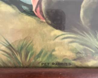 Pet Rabbits 