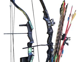 Golden Eagle and Solo Trak bows