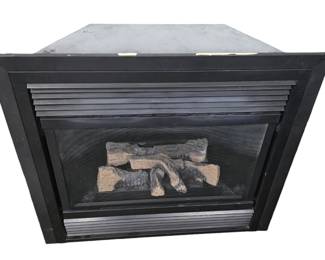 Fireplace insert