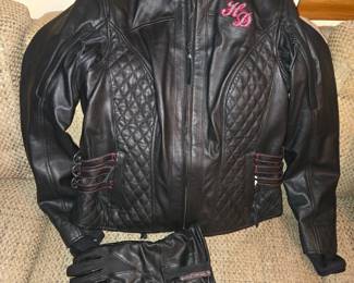 Leather coat and liner