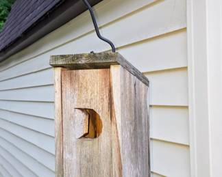 Bird feeder
