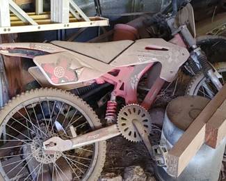 X-Games BMX Moto Bike, 20 Inch Bike Disc Brakes, Looks Like Dirt Bike
This is a before picture it will be shined up
