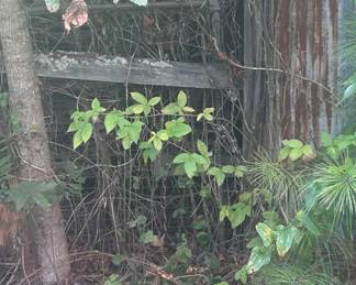 We found another barn today full of beautiful wood