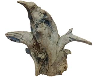 Large piece of driftwood