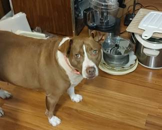 Hey yawl! This is my "im ready to go home face" 