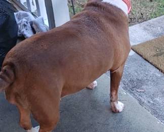 Precious will be waiting to see everyone!