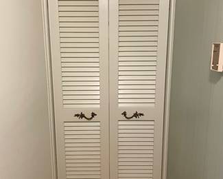 Vintage shutter doors