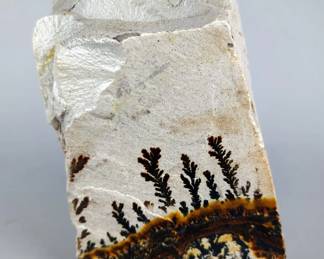 Dendrite Specimen, 6.75"
