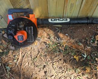 Echo leaf blower