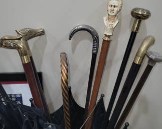 Antique cane collection