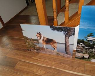 Yes, another one of a kind, photo