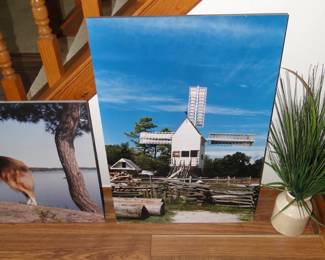 These photo's are incredibly remarkable
