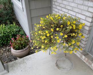 Exterior flowers are also for sale as well