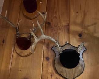 Antler mounts