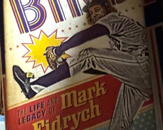 Mark Fidrych book