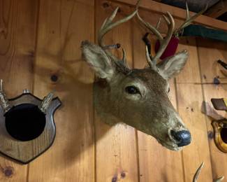 Deer mounts